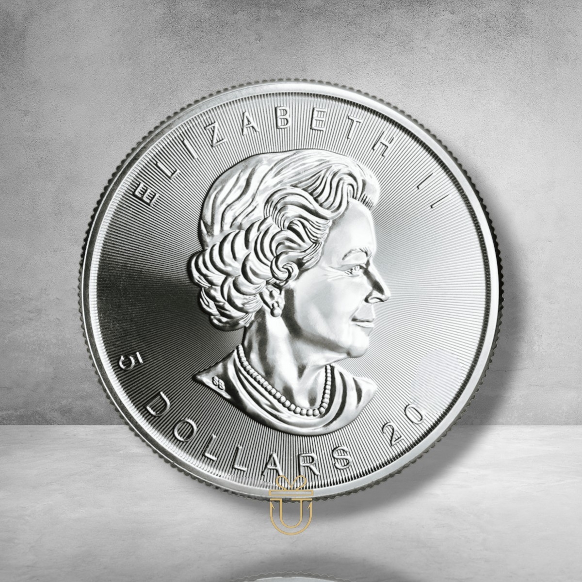 Maple Leaf Silbermünze 1 Oz